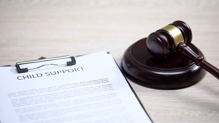 Child Support Laws Guide
