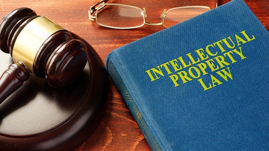 IP laws guide